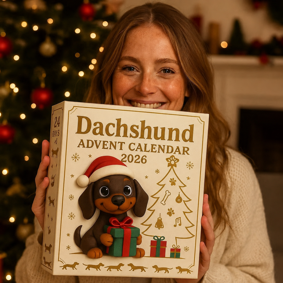 🎄🐾 Calendario dell’Avvento Bassotto 2026 🐶✨